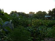 DSCF0503.jpg