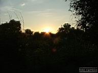 DSCF0507.jpg