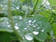 DSCF0514.jpg