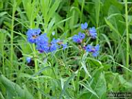DSCF0517.jpg