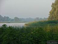 DSCF0519.jpg
