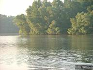 DSCF0527.jpg