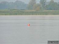 DSCF0530.jpg
