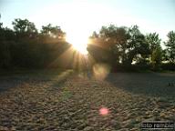 DSCF0545.jpg