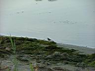 DSCF0553.jpg