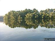 DSCF0555.jpg