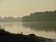 DSCF0556.jpg