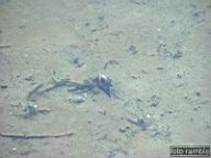 DSCF0559.jpg