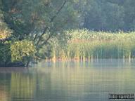 DSCF0563.jpg