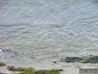 DSCF0569.jpg