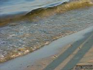 DSCF0594.jpg