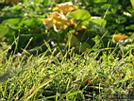 DSCF0622.jpg