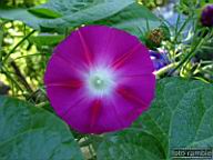 DSCF0646.jpg