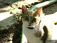 DSCF0652.jpg