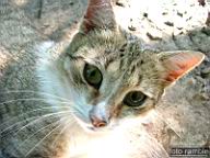 DSCF0658.jpg