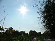 DSCF0661.jpg