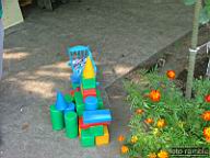 DSCF0778.jpg