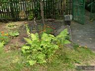 DSCF0811.jpg