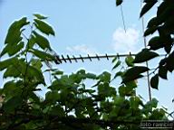 DSCF0821.jpg