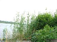 DSCF0922.jpg