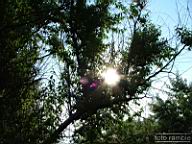 DSCF1154.jpg