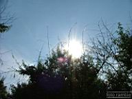 DSCF1155.jpg