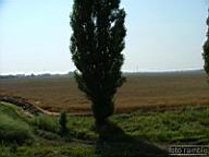 DSCF1348.jpg