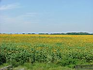 DSCF1385.jpg