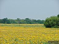 DSCF1388.jpg