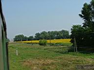 DSCF1402.jpg