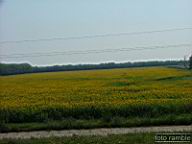DSCF1403.jpg