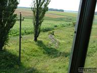 DSCF1408.jpg