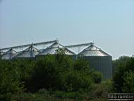 DSCF1411.jpg