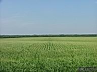 DSCF1431.jpg