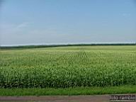DSCF1433.jpg