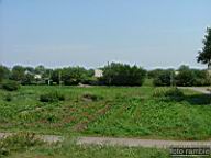 DSCF1442.jpg
