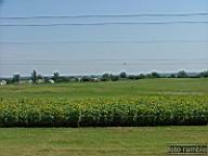 DSCF1443.jpg