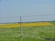 DSCF1447.jpg