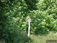 DSCF1456.jpg