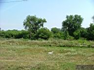 DSCF1460.jpg