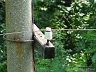 DSCF1469.jpg