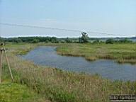 DSCF1479.jpg