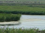 DSCF1507.jpg