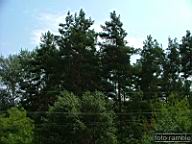 DSCF1534.jpg