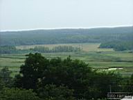 DSCF1569.jpg