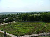 DSCF1589.jpg