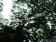 DSCF1610.jpg