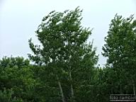 DSCF1651.jpg
