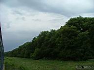 DSCF1654.jpg