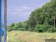 DSCF1659.jpg